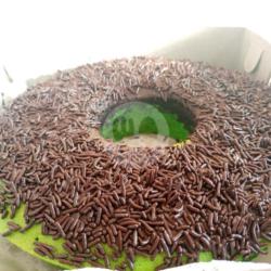 Bolu Pandan Coklat