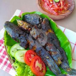 Ikan Lele Bakar   Lalapan