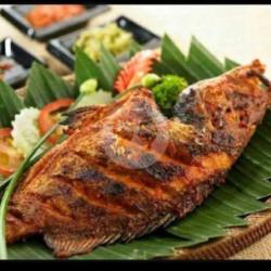 Ikan Kakap Merah