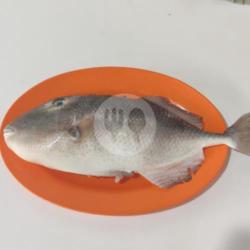 Ikan Jebung Bakar Bumbu Kuning (sedang)