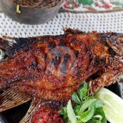 Ikan Gurame Bakar Mantap