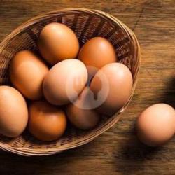 Telur Ayam