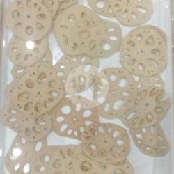 Lotus Root ( Akar Teratai )