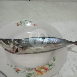 Ikan Malalugis