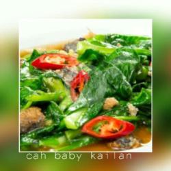 Cah Baby Kailan