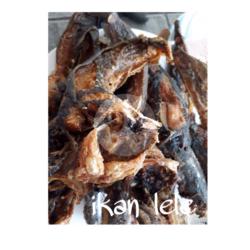 Nasi Ikan Lele