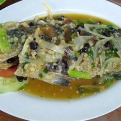 Ikan Kerapu Macan 7ons