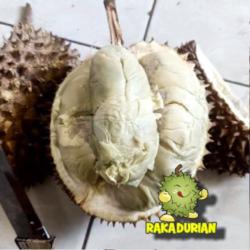 Durian Utuh