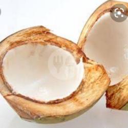 Kelapa Muda Isi Nya Tipis