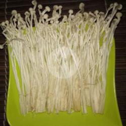 Jamur Enoki