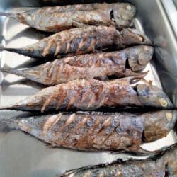 Nasi Campur Ikan Bakar Rica