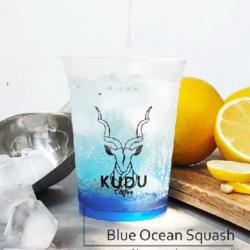 Blue Ocean Squash Ice (lrg)