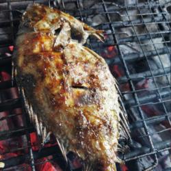 Nasi Ikan Lebam Bakar