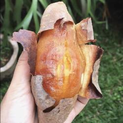 Ubi Madu Cilembu 500 Gr