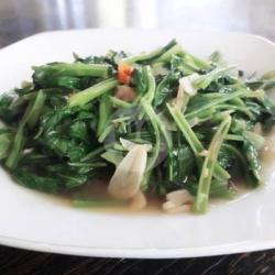 Cah Kangkung Polos