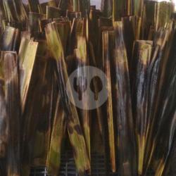 10 Otak Otak Ikan Tanjung Pinang