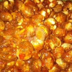 Kerang Dara Bukur