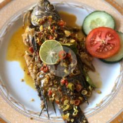 Ikan Mujair Nyatnyat Satu Ekor