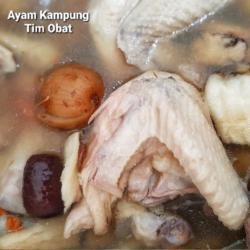 Ayam Kampung Tim Obat Dada