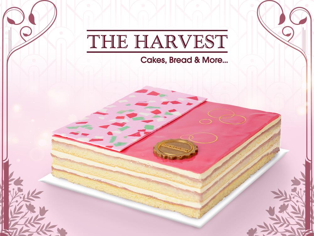 The Harvest Cakes, Alam Sutera