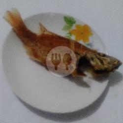 Ikan Kakap Merah Goreng