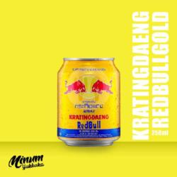 Red Bull Energy Drink Kaleng 250 Ml