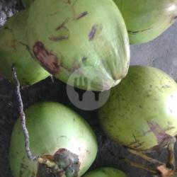 Kelapa Butiran