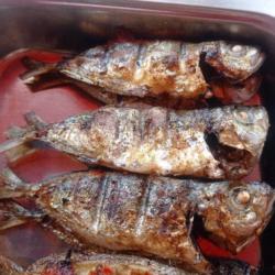 Ikan Bakar Katombo  Rica