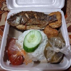 Nasi Ikan Mujair Goreng   Free Mineral Cup