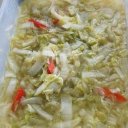 Sayur Sawi Putih