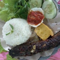 Nasi Lele Goreng / Bakar