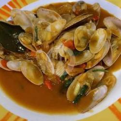 Kerang Batik ( Saus Padang )