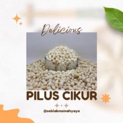 Pilus Cikur ( Kencur )