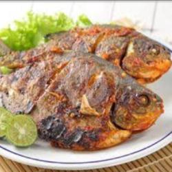 Ikan Bawal Goreng/balado