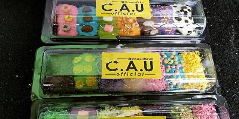 C.A.U Official, Pemuda