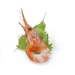 Aka Ebi Sashimi