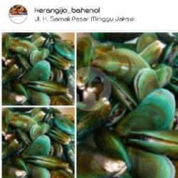 Kerang Ijo Masak Kiloan