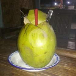 Degan Utuh Sirup Melon