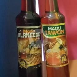 Madu Tawon