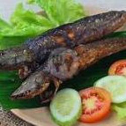 Ikan Lele Goreng   Nasi