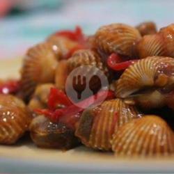 Kerang Dara