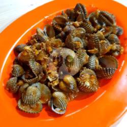 Kerang Dara