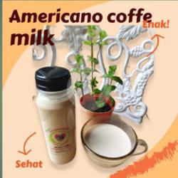 Americano Coffe Milk 500ml