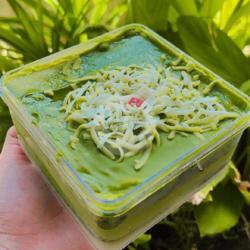 Matcha Dessert