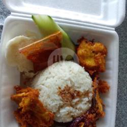 Ayam Tok ( Saja)