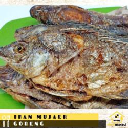 Ikan Mujaer Goreng