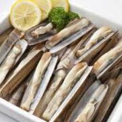 Kerang Bambu