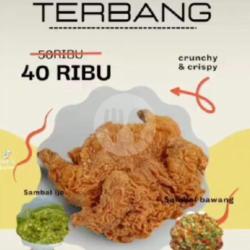 Ayam Terbang