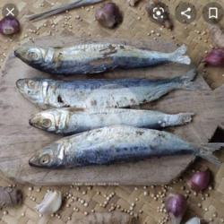 Ikan Asin Japu   Sambel Setan