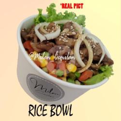 Rice Bowl Beef Teriyaki